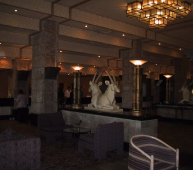 Картинка 15 Фото 15