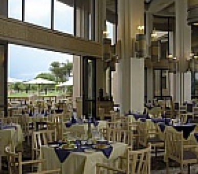 Картинка 8 Фото 8