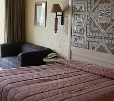 Картинка 13 Фото 13