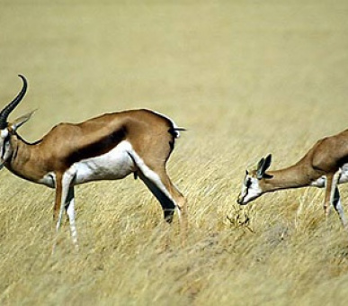 Картинка 8 Фото 8