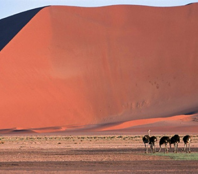 Картинка 13 Фото 13