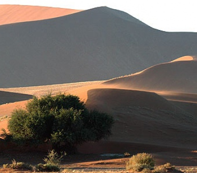 Картинка 12 Фото 12