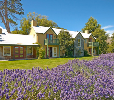 Картинка Millbrook Resort (Новая Зеландия, Квинстаун) 35 Фото Millbrook Resort (Новая Зеландия, Квинстаун) 35