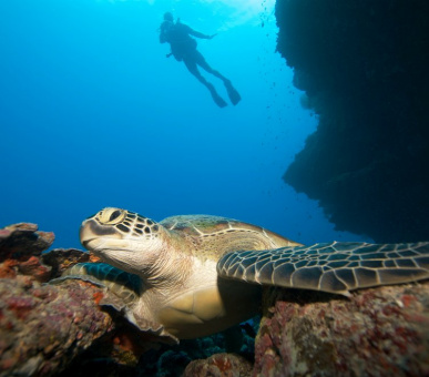 Картинка Six Senses Zil Pasyon 51 Фото Six Senses Zil Pasyon 51