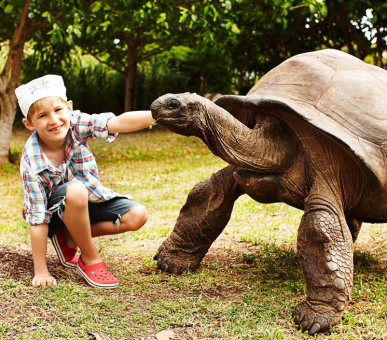 Картинка Fregate Island Private (Сейшельские острова, о. Остров Фрегат) 23 Фото Fregate Island Private (Сейшельские острова, о. Остров Фрегат) 23