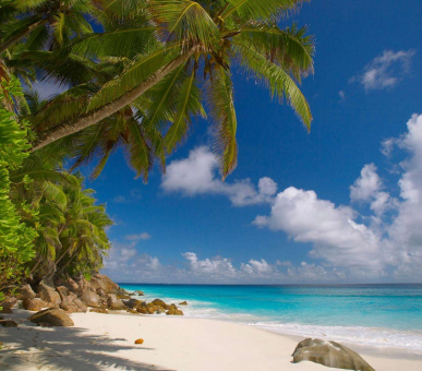 Картинка Fregate Island Private (Сейшельские острова, о. Остров Фрегат) 34 Фото Fregate Island Private (Сейшельские острова, о. Остров Фрегат) 34