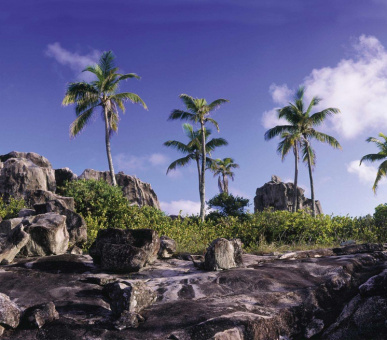Картинка Fregate Island Private (Сейшельские острова, о. Остров Фрегат) 38 Фото Fregate Island Private (Сейшельские острова, о. Остров Фрегат) 38