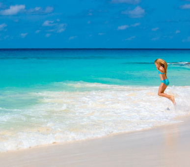 Картинка Fregate Island Private (Сейшельские острова, о. Остров Фрегат) 64 Фото Fregate Island Private (Сейшельские острова, о. Остров Фрегат) 64