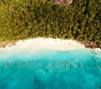 Картинка Fregate Island Private (Сейшельские острова, о. Остров Фрегат) 21 Фото Fregate Island Private (Сейшельские острова, о. Остров Фрегат) 21