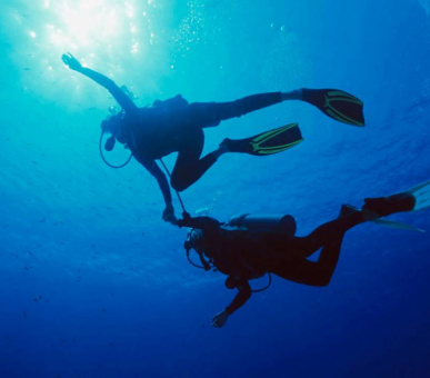 Картинка Four Seasons Resort Nevis (, Сент-Китс и Невис) 3 Фото Four Seasons Resort Nevis (, Сент-Китс и Невис) 3