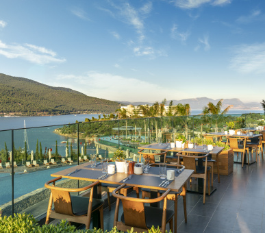 Фото Lujo Hotel 61