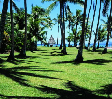 Картинка 17 Фото 17