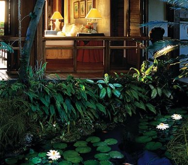 Картинка 9 Фото 9