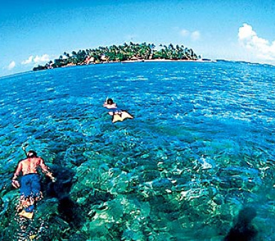 Картинка 12 Фото 12