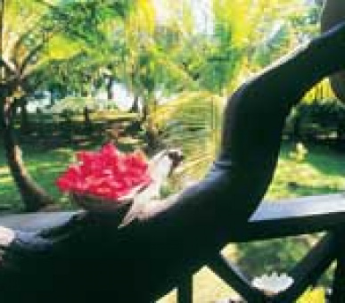 Картинка 11 Фото 11