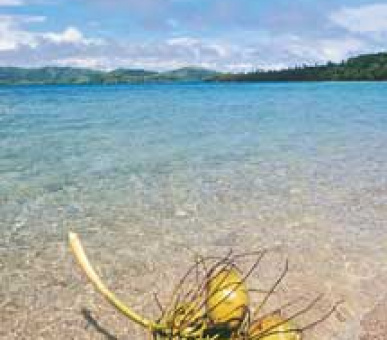 Картинка 2 Фото 2