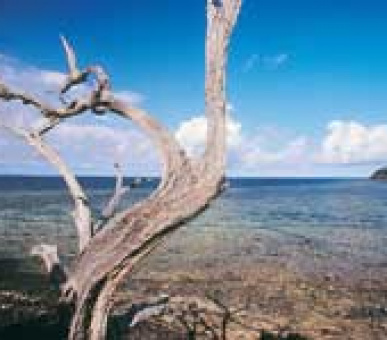 Картинка 15 Фото 15