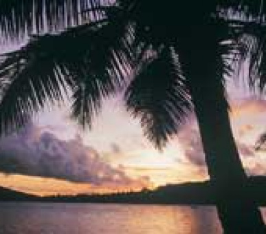 Картинка 12 Фото 12