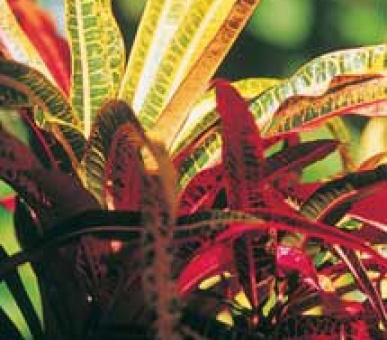 Картинка 14 Фото 14