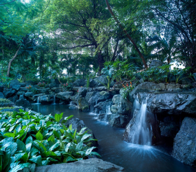 Картинка Makati Shangri-La (Филиппины, Манила) 30 Фото Makati Shangri-La (Филиппины, Манила) 30