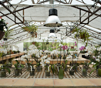 Фото Hotel Le Mas De Pierre 15