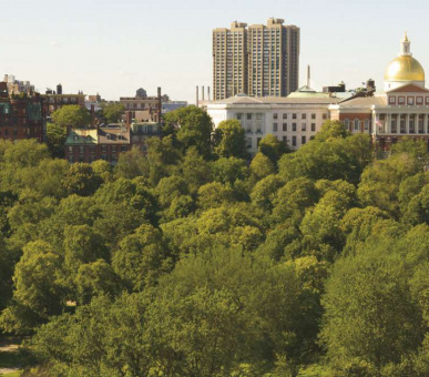 Фото The Ritz-Carlton, Boston Common (США, Бостон (штат Массачусетс)) 1