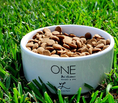 Картинка One Bal Harbour Resort 24 Фото One Bal Harbour Resort 24