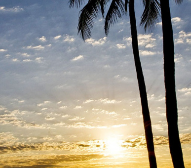 Картинка One Bal Harbour Resort 25 Фото One Bal Harbour Resort 25