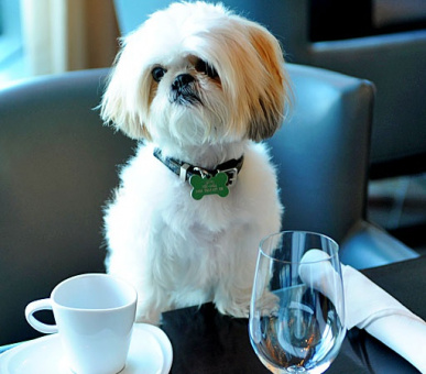 Картинка One Bal Harbour Resort 35 Фото One Bal Harbour Resort 35