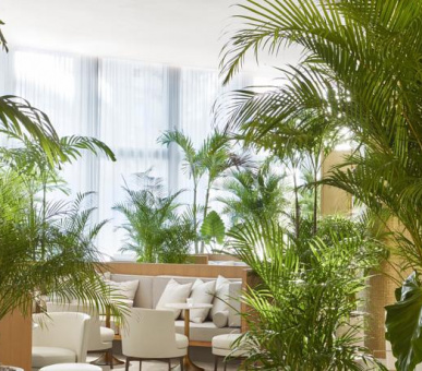 Фото The Miami Beach EDITION (США, Майaми  (штат Флорида)) 28