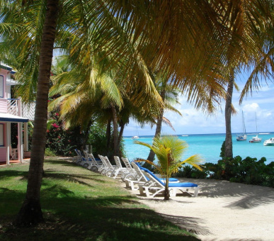 Картинка Le Meridien La Cocoteraie (, Гваделупа) 7 Фото Le Meridien La Cocoteraie (, Гваделупа) 7