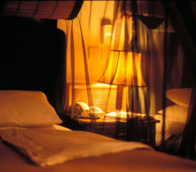 Картинка 4 Фото 4