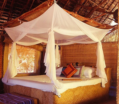 Картинка 5 Фото 5