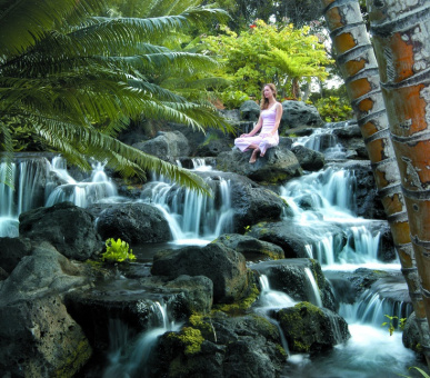 Картинка The Fairmont Orchid (США, остров Гаваи (Биг Айлэнд)) 33 Фото The Fairmont Orchid (США, остров Гаваи (Биг Айлэнд)) 33