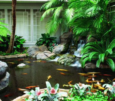 Картинка The Fairmont Orchid (США, остров Гаваи (Биг Айлэнд)) 32 Фото The Fairmont Orchid (США, остров Гаваи (Биг Айлэнд)) 32