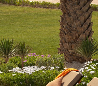 Картинка Sofitel Agadir (Марокко, Агадир) 21 Фото Sofitel Agadir (Марокко, Агадир) 21