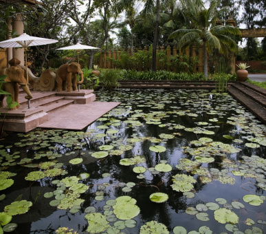 Картинка Anantara Resort Hua Hin (Таиланд, Ча-Ам / Хуа Хин) 25 Фото Anantara Resort Hua Hin (Таиланд, Ча-Ам / Хуа Хин) 25