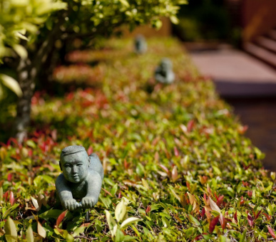 Картинка Anantara Resort Hua Hin (Таиланд, Ча-Ам / Хуа Хин) 24 Фото Anantara Resort Hua Hin (Таиланд, Ча-Ам / Хуа Хин) 24