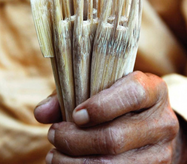 Картинка Four Seasons Tented Camp Golden Triangle (Таиланд, Чиангмай, Чианграй) 12 Фото Four Seasons Tented Camp Golden Triangle (Таиланд, Чиангмай, Чианграй) 12