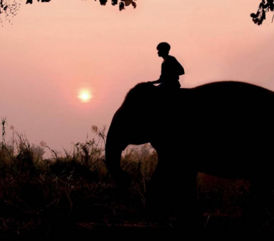 Картинка Four Seasons Tented Camp Golden Triangle (Таиланд, Чиангмай, Чианграй) 6 Фото Four Seasons Tented Camp Golden Triangle (Таиланд, Чиангмай, Чианграй) 6