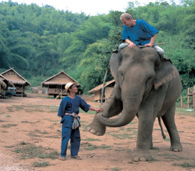 Картинка 10 Фото 10