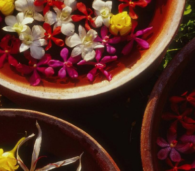 Картинка Four Seasons Resort Chiang Mai (Таиланд, Чиангмай, Чианграй) 3 Фото Four Seasons Resort Chiang Mai (Таиланд, Чиангмай, Чианграй) 3