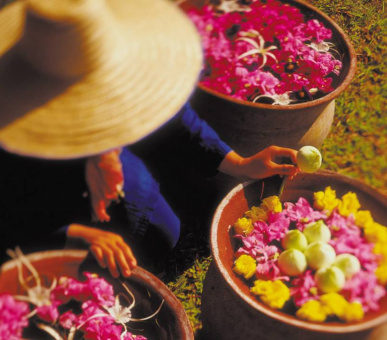 Картинка Four Seasons Resort Chiang Mai (Таиланд, Чиангмай, Чианграй) 47 Фото Four Seasons Resort Chiang Mai (Таиланд, Чиангмай, Чианграй) 47