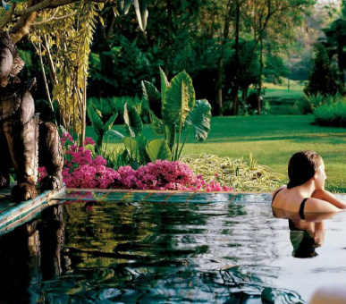 Картинка Four Seasons Resort Chiang Mai (Таиланд, Чиангмай, Чианграй) 19 Фото Four Seasons Resort Chiang Mai (Таиланд, Чиангмай, Чианграй) 19