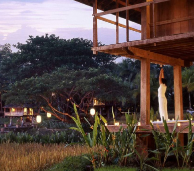 Картинка Four Seasons Resort Chiang Mai (Таиланд, Чиангмай, Чианграй) 30 Фото Four Seasons Resort Chiang Mai (Таиланд, Чиангмай, Чианграй) 30