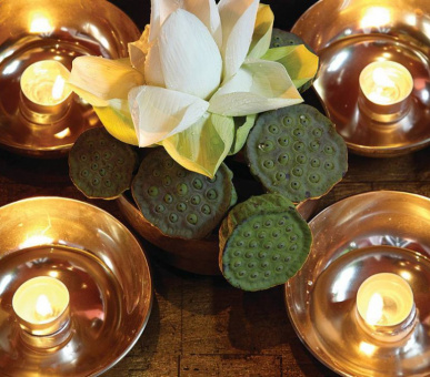 Картинка Four Seasons Resort Chiang Mai (Таиланд, Чиангмай, Чианграй) 22 Фото Four Seasons Resort Chiang Mai (Таиланд, Чиангмай, Чианграй) 22