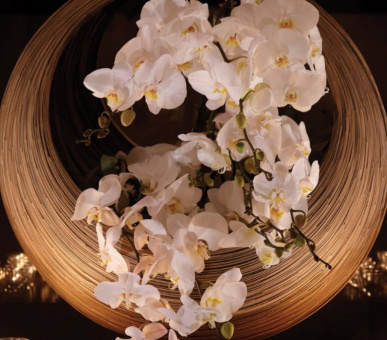 Картинка Four Seasons Resort Chiang Mai (Таиланд, Чиангмай, Чианграй) 49 Фото Four Seasons Resort Chiang Mai (Таиланд, Чиангмай, Чианграй) 49