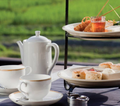 Картинка Four Seasons Resort Chiang Mai (Таиланд, Чиангмай, Чианграй) 23 Фото Four Seasons Resort Chiang Mai (Таиланд, Чиангмай, Чианграй) 23