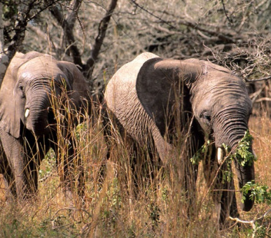 Картинка 4 Фото 4