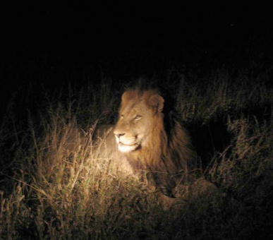 Картинка 9 Фото 9